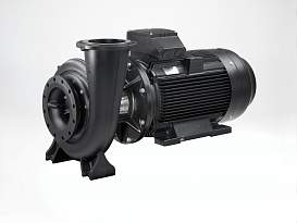 Консольно-моноблочный насос GRUNDFOS NB125-200/176-154 EUP A-F-A-BAQE